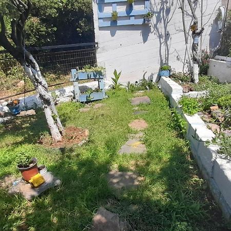 Апартаменти Το Σπίτι Της Ελένης Vlachia Екстер'єр фото