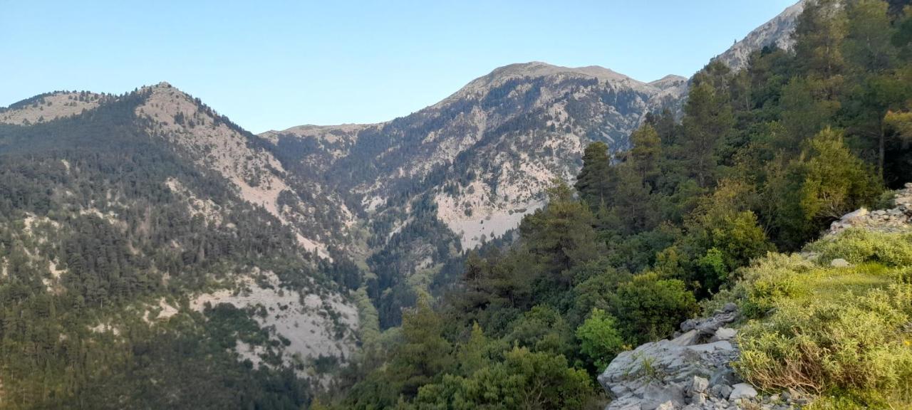 Апартаменти Το Σπίτι Της Ελένης Vlachia Екстер'єр фото