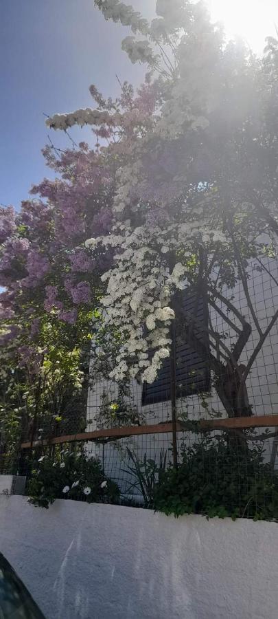 Апартаменти Το Σπίτι Της Ελένης Vlachia Екстер'єр фото