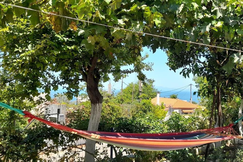 Апартаменти Το Σπίτι Της Ελένης Vlachia Екстер'єр фото