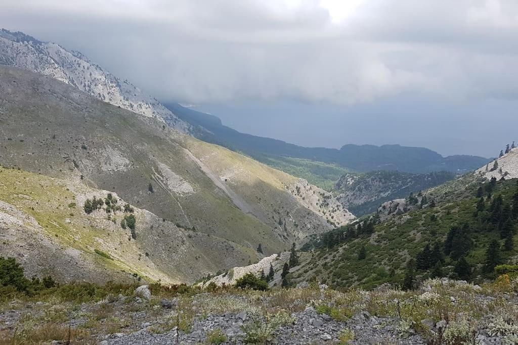 Апартаменти Το Σπίτι Της Ελένης Vlachia Екстер'єр фото