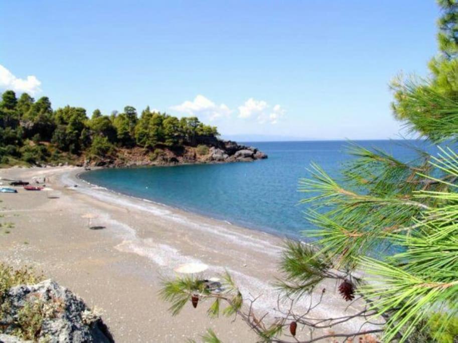 Апартаменти Το Σπίτι Της Ελένης Vlachia Екстер'єр фото