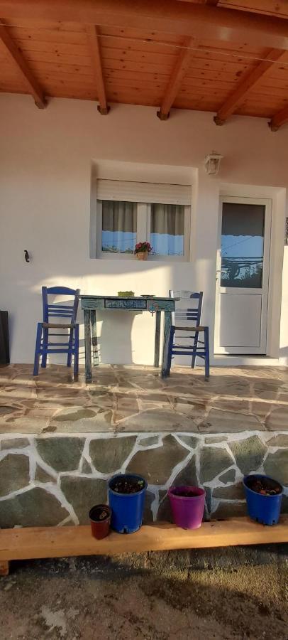 Апартаменти Το Σπίτι Της Ελένης Vlachia Екстер'єр фото