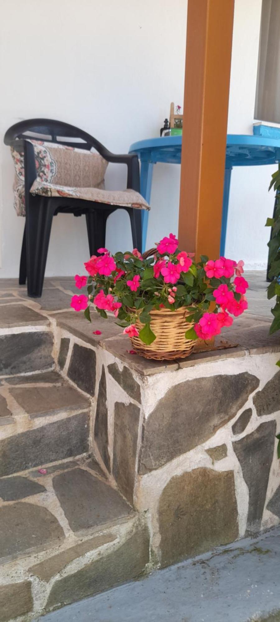 Апартаменти Το Σπίτι Της Ελένης Vlachia Екстер'єр фото